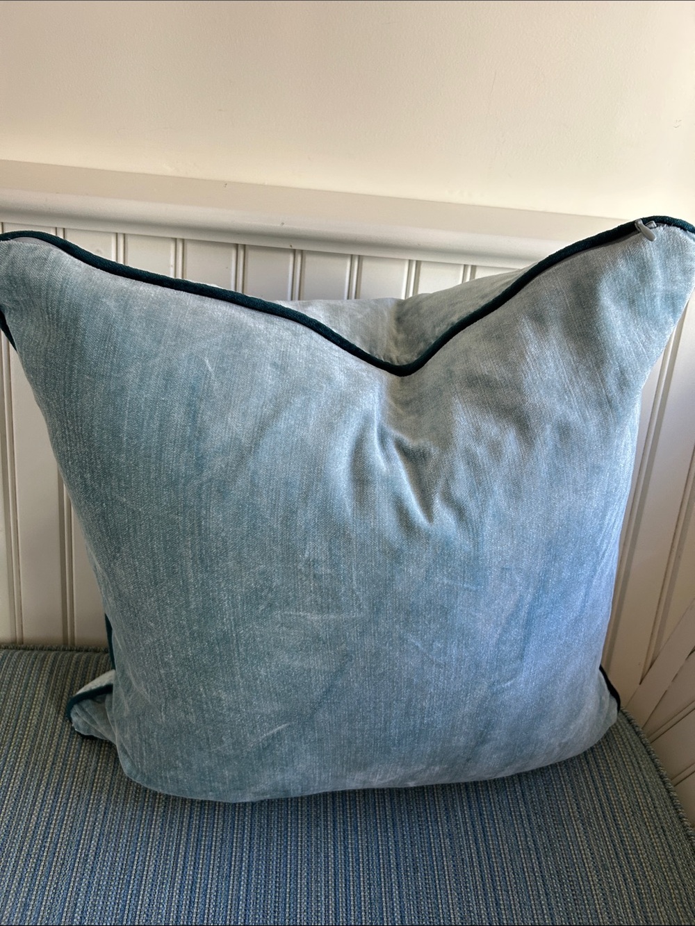 Anthropologie Adelina velvet accent pillow